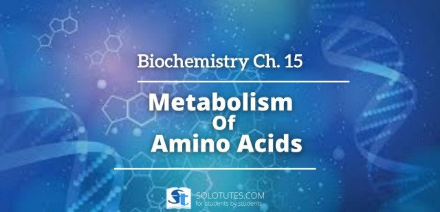 Metabolism Of Amino Acids