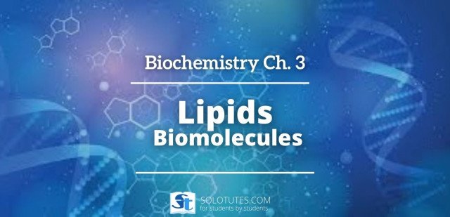 Lipids (Biomolecules): structure, classification and functions | Biochemistry