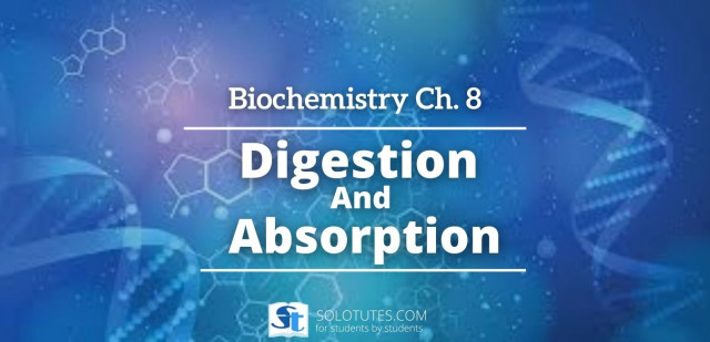 Digestion And Absorption | Biochemistry 